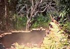 Homem é preso ao ser flagrado enquanto produzia carvão  com madeira no extremo sul da Bahia