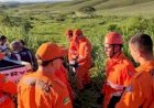 Homem morre em acidente após ser atacado por abelhas no município de Lagarto
