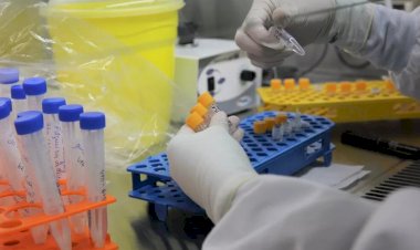 Sergipe registra 13 casos conhecidos de Covid-19