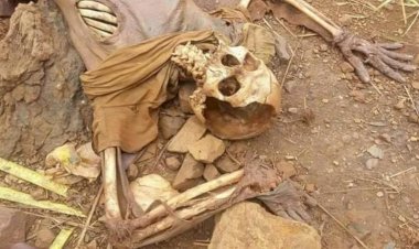 Ossada humana é encontrada por populares em Santa Brígida – BA