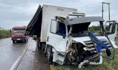 Colisão entre caminhão e van deixa uma pessoa morta na AL-220 em Delmiro Gouveia