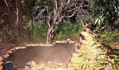 Homem é preso ao ser flagrado enquanto produzia carvão  com madeira no extremo sul da Bahia