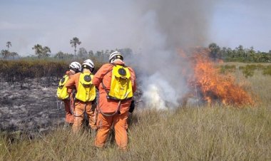 Cerca de 200 bombeiros atuam para combater incêndios florestais em 15 cidades do interior