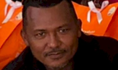 Morador de Inhapi morre após bater em carro que tinha se envolvido em colisão com animais soltos na BR-423