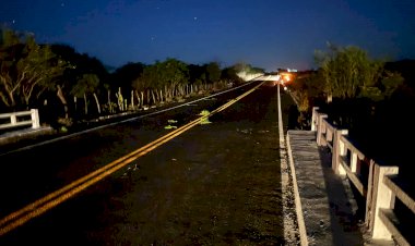Animal na pista provoca mais uma morte em trecho da AL-220 entre Olho d’Água do Casado e Piau