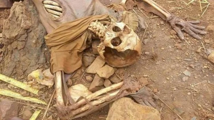 Ossada humana é encontrada por populares em Santa Brígida – BA